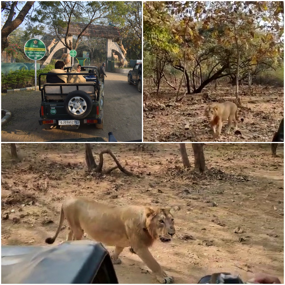 GIR NATIONAL PARK