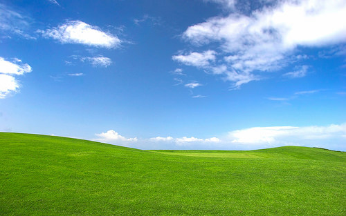 MICROSOFT, OFFICE DESKTOP WALLPAPER